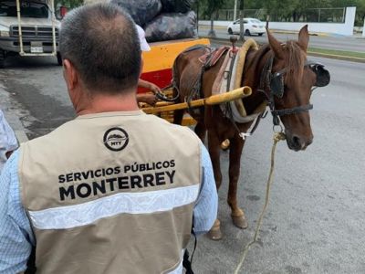 Sanciona Monterrey a infractores del Reglamento de Limpia